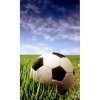 DIMEX fototapeta Futbalová lopta MS-2-0305 - 150 x 250 cm (150g VLIES - LEPIDLO ZADARMO) DIMEX fototapeta Futbalová lopta MS-2-0305 - 150 x 250 cm (150g VLIES - LEPIDLO ZADARMO)