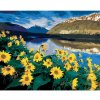 Diamondi Diamantové maľovanie - ŽLTÉ KVETY PRI HORSKOM JAZERE (DENNIS FRATES) Rámovanie: vypnuté plátno na rám, Rozmer: 40x50 cm Diamondi Diamantové maľovanie - ŽLTÉ KVETY PRI HORSKOM JAZERE (DENNIS FRATES) Rámovanie: vypnuté plátno na rám, Rozmer: 40x50 cm