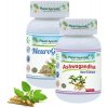 Planet Ayurveda Polyneuropatia Planet Ayurveda Polyneuropatia