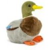 Kačer kachny divoké plyš 18 cm - autor neuvedený Kačer kachny divoké plyš 18 cm - autor neuvedený