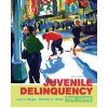 Juvenile Delinquency (Larry J Siegel,Brandon C Welsh)(Brožovaná) Juvenile Delinquency (Larry J Siegel,Brandon C Welsh)(Brožovaná)