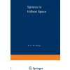 Spinors in Hilbert Space (Paul Dirac)(Brožovaná) Spinors in Hilbert Space (Paul Dirac)(Brožovaná)