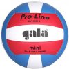 Gala Pro Line mini Velikost míče: č. 4 Gala Pro Line mini Velikost míče: č. 4