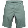 Chillaz Neo shorts Green