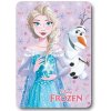 Faro Dětská fleecová deka Polar Frozen růžová