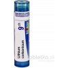 Lithium Carbonicum gra.1 x 4 g 9CH