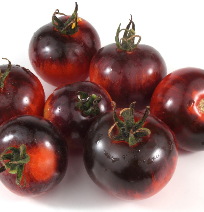 BIO paradajka Black Zebra - Solanum lycopersicum - bio semená paradajky - 7 ks