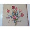 Štvorec na vankúš: tulipány (Štvorec na vankúš: tulipány) Štvorec na vankúš: tulipány (Štvorec na vankúš: tulipány)