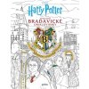 Harry Potter: Oficiální bradavické omalovánky Harry Potter: Oficiální bradavické omalovánky