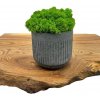 Betónový kvetináč Round Betónový kvetináč Round
