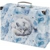 BAAGL A-36196 Polar, skladací papierový kufrík, 32,5x10,5x26cm