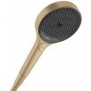 Hansgrohe Rainfinity - Sprchová hlavica 130, 3 prúdy, EcoSmart, kefovaný bronz 26865140 Hansgrohe Rainfinity - Sprchová hlavica 130, 3 prúdy, EcoSmart, kefovaný bronz 26865140