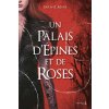 Un Palais d'épines et de roses T1 (Sarah Janet Maas)(Brožovaná) Un Palais d'épines et de roses T1 (Sarah Janet Maas)(Brožovaná)