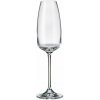 CRYSTALITE BOHEMIA BOHEMIA ANSER POHÁR NA ŠAMPANSKÉ 290ML SADA 6 KS CRYSTALITE BOHEMIA BOHEMIA ANSER POHÁR NA ŠAMPANSKÉ 290ML SADA 6 KS