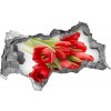Samolepiaca diera na stenu Červené tulipány 95x73 cm Samolepiaca diera na stenu Červené tulipány 95x73 cm