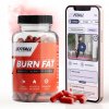 SILNÝ SPAĽOVAČ TUKOV NA BRUCHO - BURN FAT + + TRÉNING + DIÉTA SILNÝ SPAĽOVAČ TUKOV NA BRUCHO - BURN FAT + + TRÉNING + DIÉTA