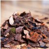 Substrát pre orchidey - predaj substrátov - 100 g Substrát pre orchidey - predaj substrátov - 100 g