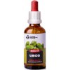 Trávníček Dračia krv - Ubos tinktúra 50 ml Trávníček Dračia krv - Ubos tinktúra 50 ml