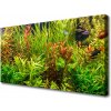 Obraz Canvas Akvárium rybičky rastliny 100x50 cm Obraz Canvas Akvárium rybičky rastliny 100x50 cm