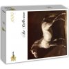 GRAFIKA Štvorcové puzzle Cheval Arabe Gris-Blanc 1000 dielikov GRAFIKA Štvorcové puzzle Cheval Arabe Gris-Blanc 1000 dielikov