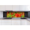 DIMEX | Dibond doska za kuchynskú linku | DBW-18060-028 Červené vlčie maky | 180 x 60 cm + Dibond obkladová doska Dimex do kuchyne Červené vlčie maky v rozmere 180 x 60 cm + lepidlo zadarmo DIMEX | Dibond doska za kuchynskú linku | DBW-18060-028 Červené vlčie maky | 180 x 60 cm + Dibond obkladová doska Dimex do kuchyne Červené vlčie maky v rozmere 180 x 60 cm + lepidlo zadarmo