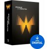 Waves Broadcast & Production (Digitálny produkt) Waves Broadcast & Production (Digitálny produkt)