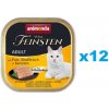 Animonda Vom Feinsten Adult morčacie hovädzie mrkva 12 x 100 g
