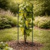 Trojuholníková opora na rastliny 90 cm (Stabilná podpora pre kvety a rastliny v záhrade, na balkóne aj v kvetináči) Trojuholníková opora na rastliny 90 cm (Stabilná podpora pre kvety a rastliny v záhrade, na balkóne aj v kvetináči)