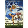 Corsair F4U Lady od the Sky - ceduľa 29cm x 20cm Plechová tabuľa Corsair F4U Lady od the Sky - ceduľa 29cm x 20cm Plechová tabuľa