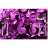 Sablio Prestieranie Fialové kvety 40x30cm Sablio Prestieranie Fialové kvety 40x30cm