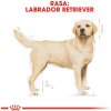 ROYAL CANIN Labrador Adult - suché krmivo pro psy - 12 kg ROYAL CANIN Labrador Adult - suché krmivo pro psy - 12 kg
