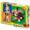 Puzzle 3x55 Psí sportovci - Dino Puzzle 3x55 Psí sportovci - Dino