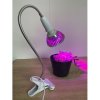 PROFI LED GROW lampa na všetky rastliny (E27) 7W PROFI LED GROW lampa na všetky rastliny (E27) 7W