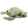 Korytnačka morská 17 cm Korytnačka morská 17 cm