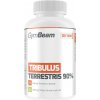 GymBeam Tribulus Terrestris 240 tabliet GymBeam Tribulus Terrestris 240 tabliet