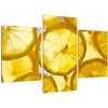 Plátky citrónov - obraz (Obraz 90x60cm) Plátky citrónov - obraz (Obraz 90x60cm)