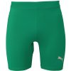 Dámske kraťasy Puma, LIGA BASELAYER SHORT TIGHT PKN zelená,strieborná, XXL Dámske kraťasy Puma, LIGA BASELAYER SHORT TIGHT PKN zelená,strieborná, XXL