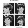 Beatles In Mono (Andrew Hickey)(Pevná) Beatles In Mono (Andrew Hickey)(Pevná)