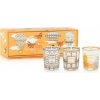 Vonné sviečky My First Baobab Gift Trio Brussels-Roma-A Saint-Tropez, 3 ks Vonné sviečky My First Baobab Gift Trio Brussels-Roma-A Saint-Tropez, 3 ks