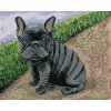 ZUTY Maľovanie podľa čísel FRANCÚZSKY BULDOČEK Rámovanie bez rámu a bez vypnutia plátna Rozmer 80 x 100 cm