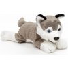 Plyšový husky 19 cm - plyšové hračky Plyšový husky 19 cm - plyšové hračky