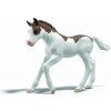 Schleich Zberateľské žriebä Dipper Schleich Zberateľské žriebä Dipper