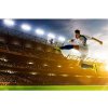 DIMEX fototapeta Futbalový hráč MS-5-0306 - 375 x 250 cm (150g VLIES - LEPIDLO ZADARMO) DIMEX fototapeta Futbalový hráč MS-5-0306 - 375 x 250 cm (150g VLIES - LEPIDLO ZADARMO)