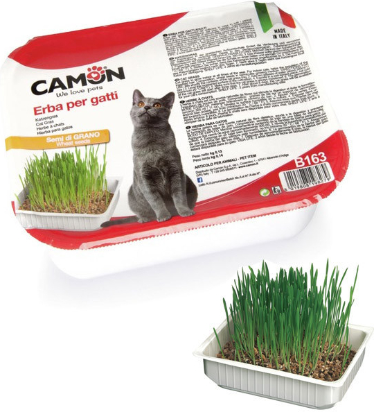 Camon tráva pre mačky zo pšenice 130 g