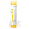 ALOE SOCOTRINA GRA HOM CH15 1x4 g ALOE SOCOTRINA GRA HOM CH15 1x4 g