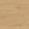 Barlinek Next Step SPC Aura DP0000002 Benjamin 2,63 m²