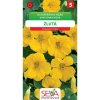 Seva Kapucínka nízka - Žltá 10 sem. Seva Kapucínka nízka - Žltá 10 sem.