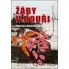 Žáby v bouři - Jan Drnek Žáby v bouři - Jan Drnek