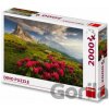 Dino Toys Italské Dolomity 2000 dielov Dino Toys Italské Dolomity 2000 dielov