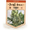 Garden Of Green Seedbank - Pineapple Amnesia 1 ks - Semená neobsahujú THC Garden Of Green Seedbank - Pineapple Amnesia 1 ks - Semená neobsahujú THC